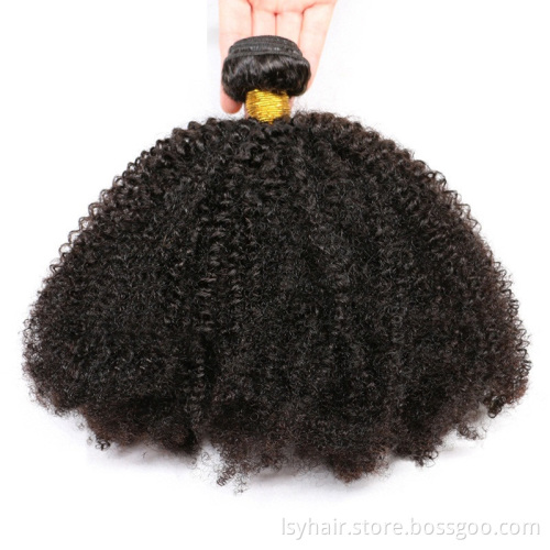 Lsy Wholesale African Afro Kinky Curly 100% Raw Human Hair for Braiding Brazilian Kinky Hair Bundles,Mongolian Afro Kinky Weacve